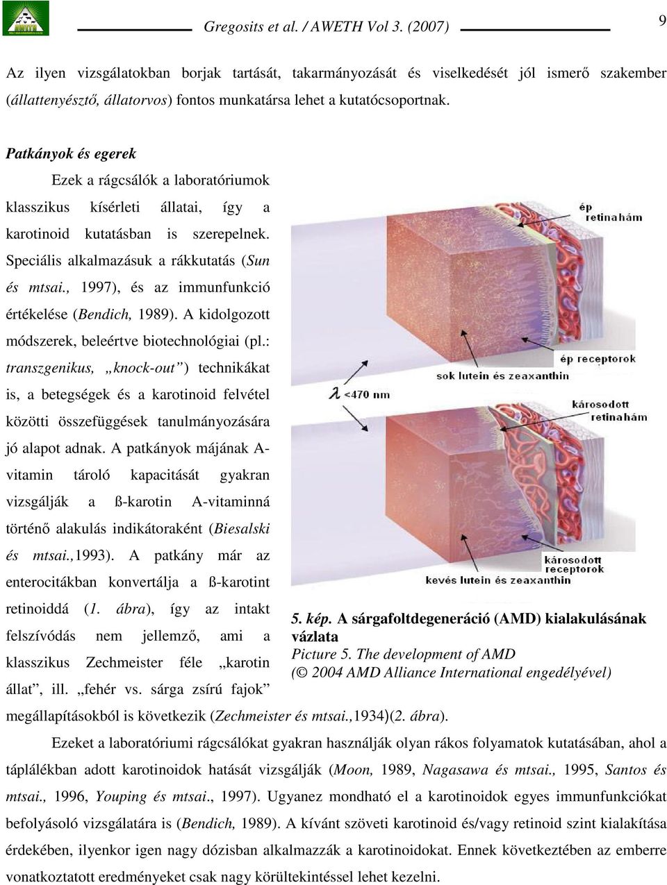 , 1997), és az immunfunkció értékelése (Bendich, 1989). A kidolgozott módszerek, beleértve biotechnológiai (pl.