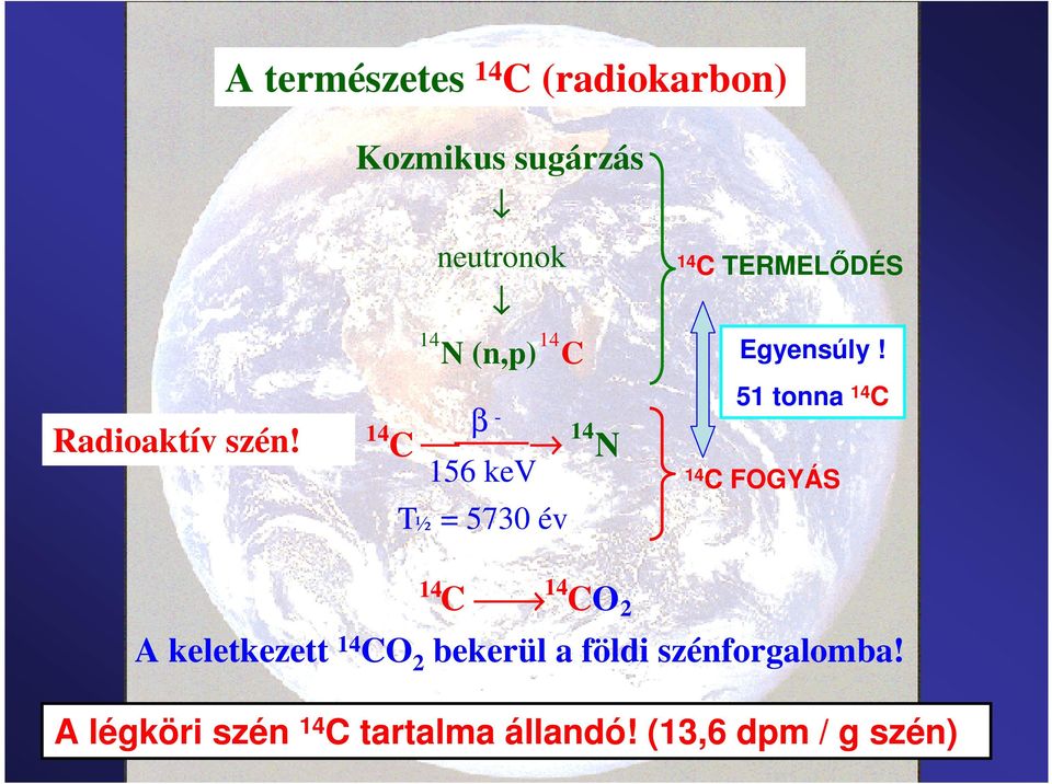 év 14 C TERMELİDÉS Egyensúly!