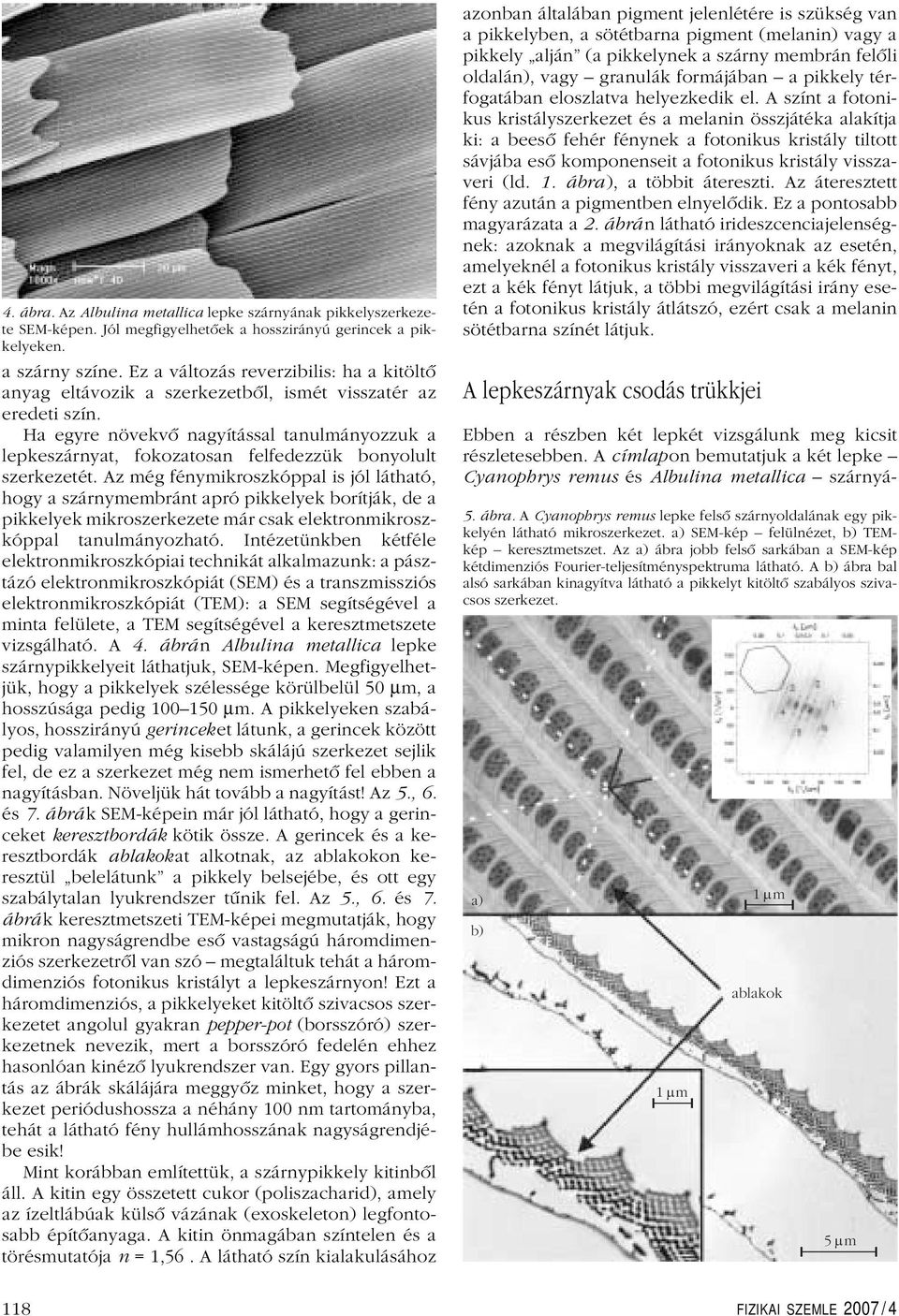 Az még fénymikroszkóppal is jól láhaó, hogy a szárnymembrán aprópikkelyek boríják, de a pikkelyek mikroszerkezee már csak elekronmikroszkóppal anulmányozhaó.