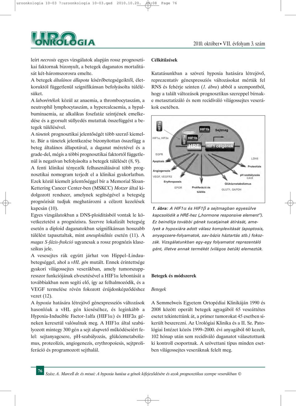 A betegek általános állapota kísérõbetegségeiktõl, életkoruktól függetlenül szignifikánsan befolyásolta túlélésüket.