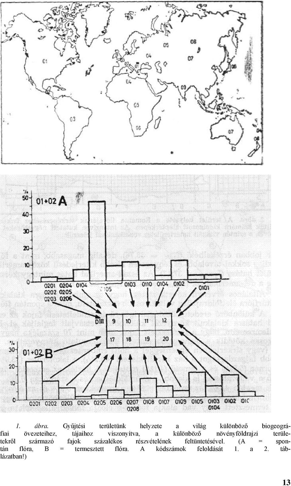 tájaihoz viszonyítva, a különböző növényföldrajzi területekről származó