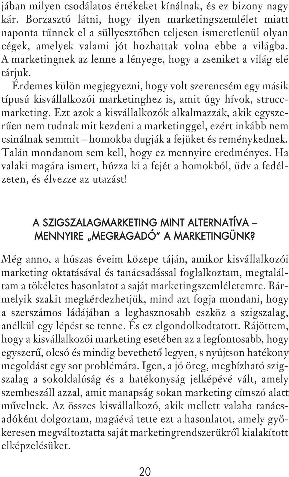 Amarketingnek az lenne a lényege, hogy a zseniket a világ elé tárjuk. Érdemes külön megjegyezni, hogy volt szerencsém egy másik típusú kisvállalkozói marketinghez is, amit úgy hívok, struccmarketing.