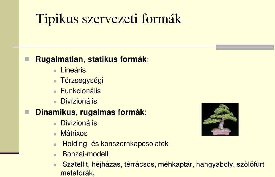 Divízionális Mátrixos Holding- és konszernkapcsolatok Bonzai-modell