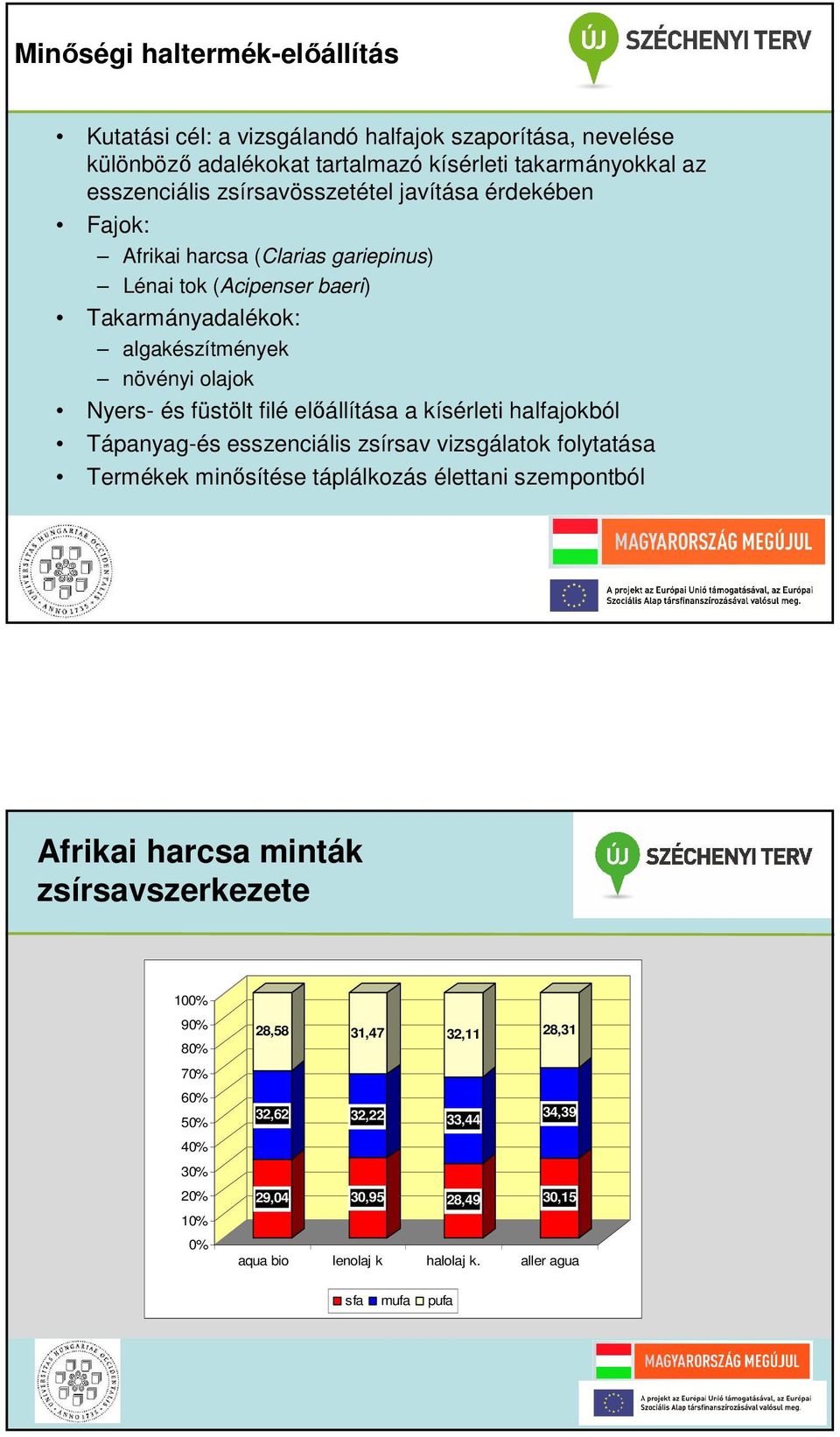 füstölt filé előállítása a kísérleti halfajokból Tápanyag-és esszenciális zsírsav vizsgálatok folytatása Termékek minősítése táplálkozás élettani szempontból Afrikai harcsa