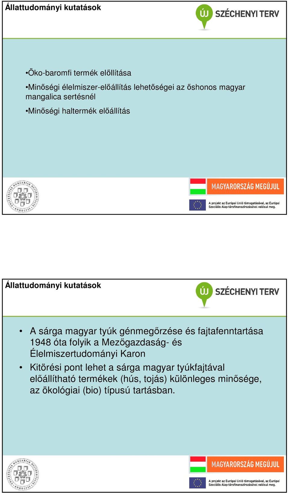 génmegőrzése és fajtafenntartása 1948 óta folyik a Mezőgazdaság- és Élelmiszertudományi Karon Kitörési pont