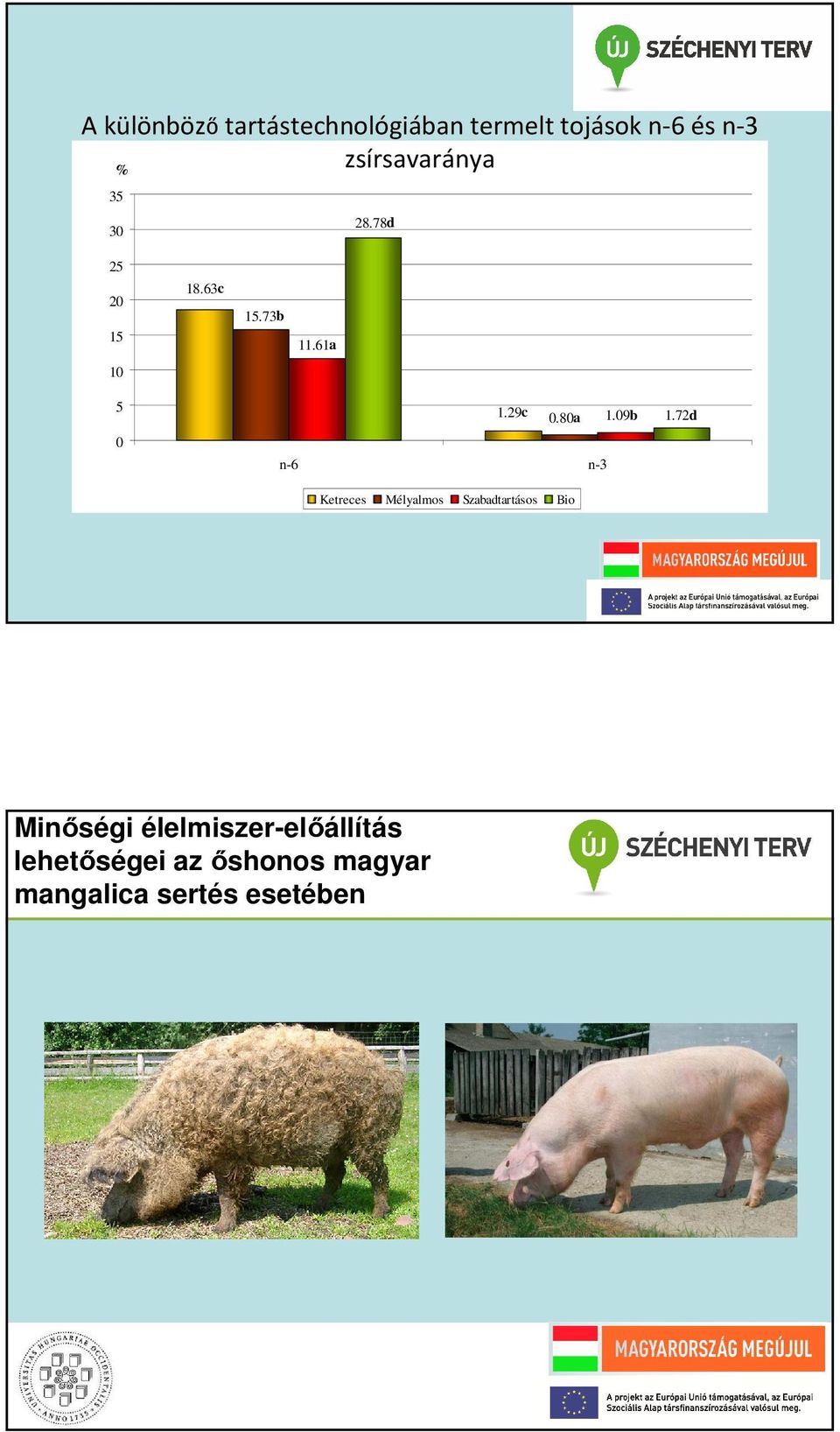 29c 0.80a 1.09b n-6 n-3 Ketreces Mélyalmos Szabadtartásos Bio 1.