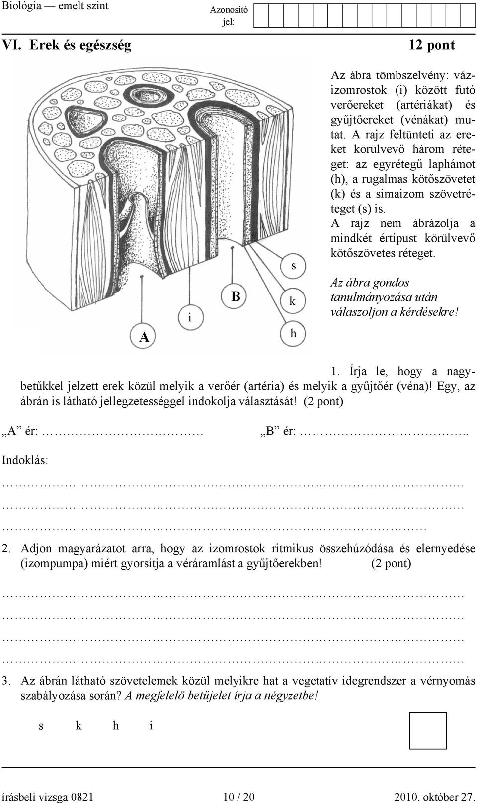 A rajz nem ábrázolja a mindkét értípust körülvevő kötőszövetes réteget. Az ábra gondos tanulmányozása után válaszoljon a kérdésekre! 1.