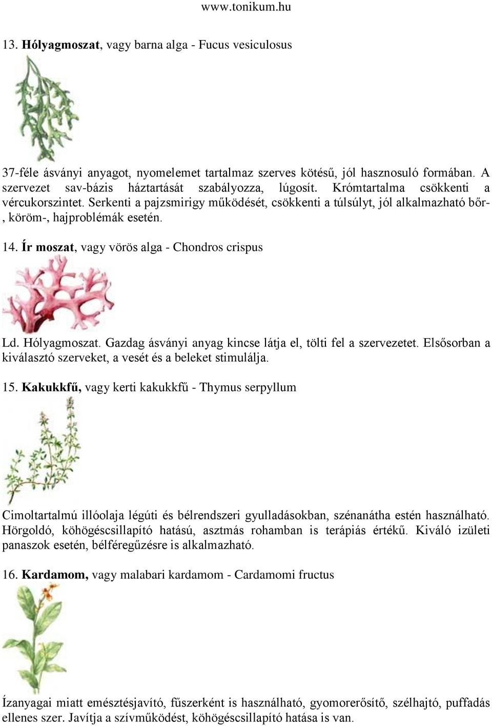 Ír moszat, vagy vörös alga - Chondros crispus Ld. Hólyagmoszat. Gazdag ásványi anyag kincse látja el, tölti fel a szervezetet. Elsősorban a kiválasztó szerveket, a vesét és a beleket stimulálja. 15.