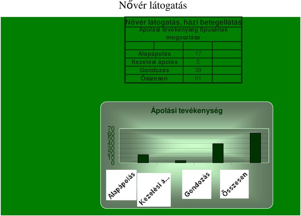 megoszlása Alapápolás Kezelési ápolás Gondozás