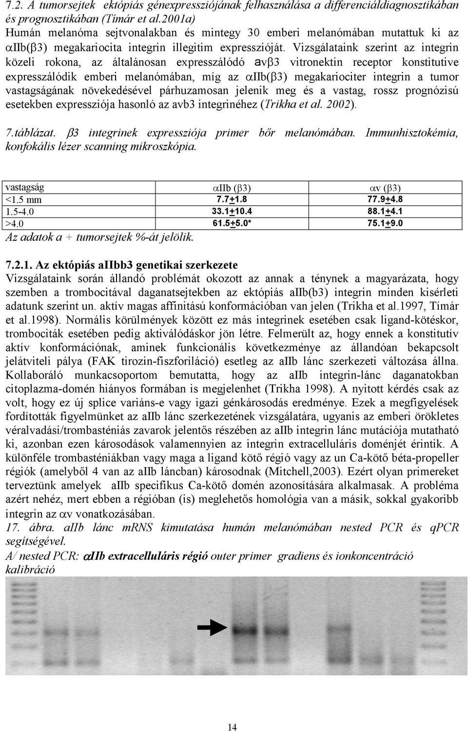 Vizsgálataink szerint az integrin közeli rokona, az általánosan expresszálódó avβ3 vitronektin receptor konstitutive expresszálódik emberi melanómában, míg az αiib(β3) megakariociter integrin a tumor