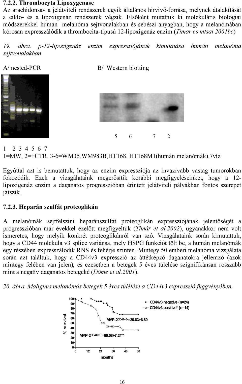 es mtsai 21bc) 19. ábra.