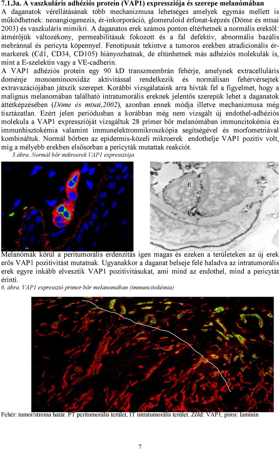 ér-inkorporáció, glomeruloid érfonat-képzés (Döme és mtsai 23) és vaszkuláris mimikri.