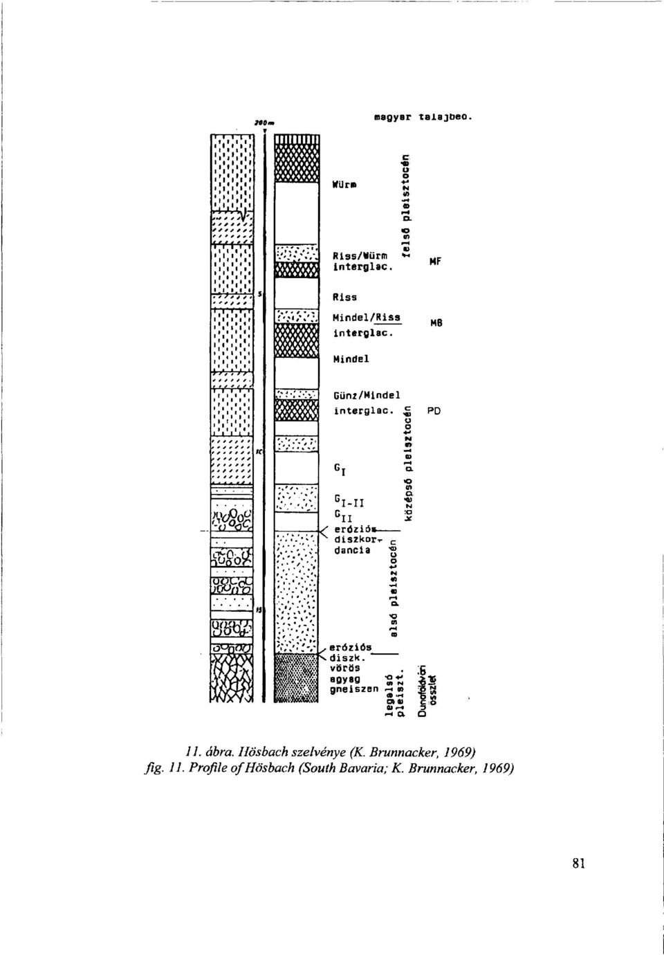 Brunnacker, 1969) fig. 11.