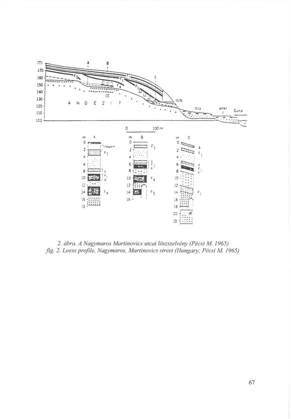 löszszelvény (Pécsi M. 1965) fig. 2.