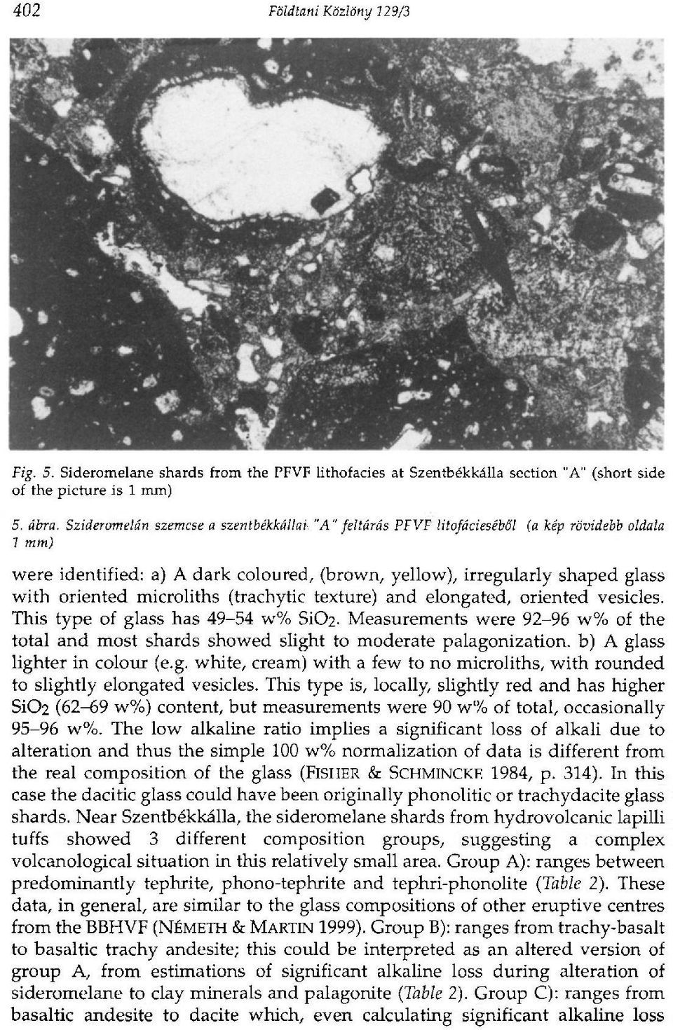 elongated, oriented vesicles. This type of glass has 49-54 w% SÍO2. Measurements were 92-96 w% of the total and most shards showed slight to moderate palagonization. b) A glass lighter in colour (e.g. white, cream) with a few to no microliths, with rounded to slightly elongated vesicles.