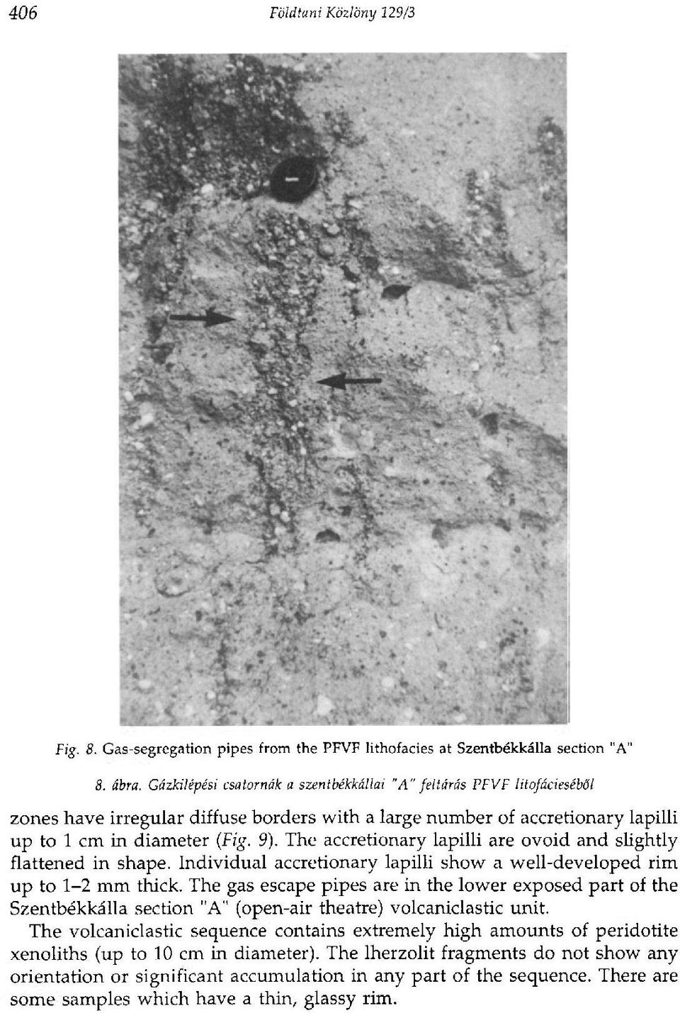 The accretionary lapilli are ovoid and slightly flattened in shape. Individual accretionary lapilli show a well-developed rim up to 1-2 mm thick.