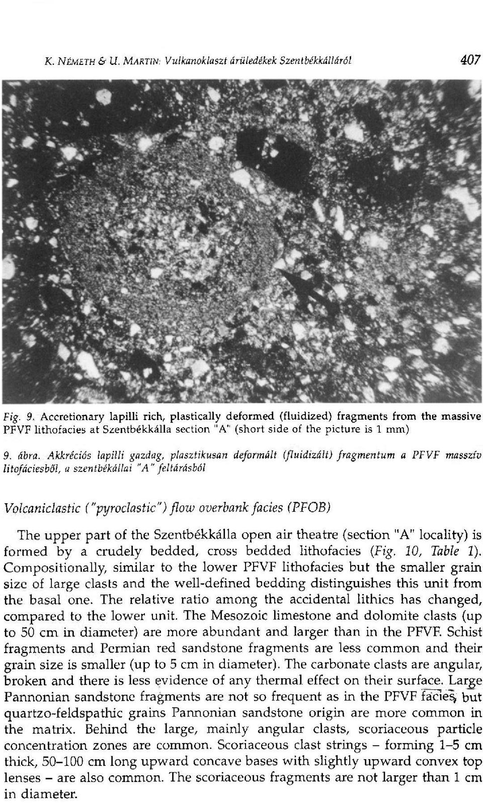 Akkréciós lapilli gazdag, plasztikusan deformált (fluidizált) fragmentum a PFVF masszív litofáciesből, a szentbékállai "A" feltárásból Volcaniclastic ("pyroclastic") flow overbank fades (PFOB) The