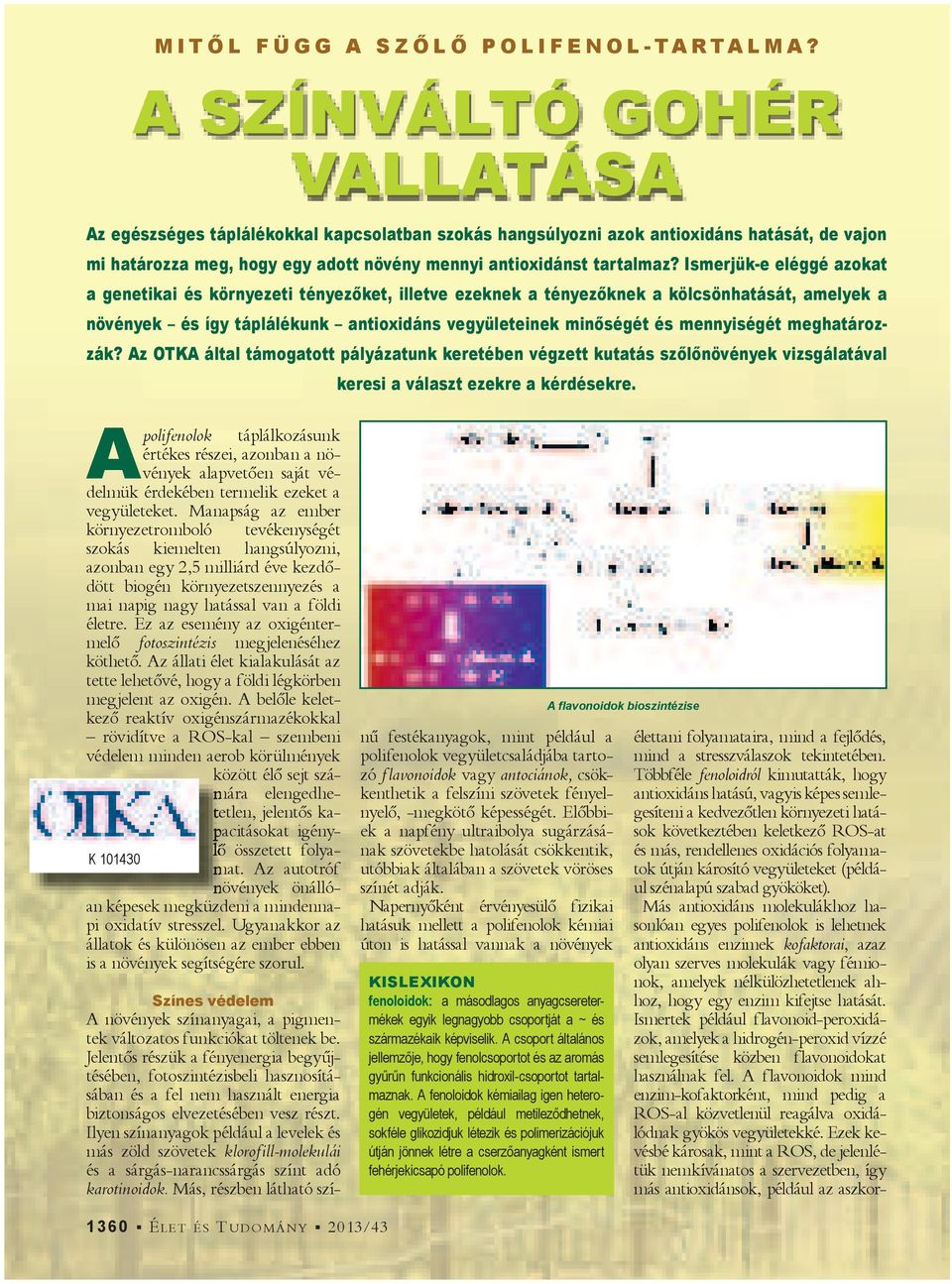 Ismerjük-e eléggé azokat a genetikai és környezeti tényez ket, illetve ezeknek a tényez knek a kölcsönhatását, amelyek a növények és így táplálékunk antioxidáns vegyületeinek min ségét és mennyiségét