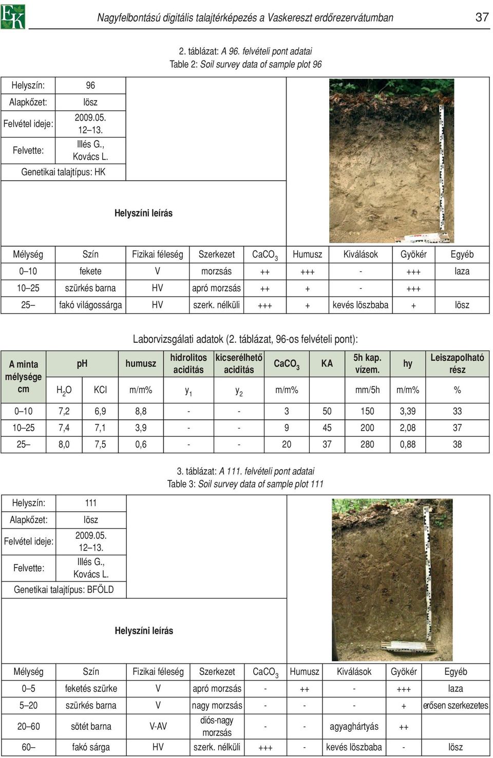 Genetikai talajtípus: HK Helyszíni leírás Mélység Szín Fizikai féleség Szerkezet CaCO 3 Humusz Kiválások Gyökér Egyéb 0 10 fekete V morzsás ++ +++ - +++ laza 10 25 szürkés barna HV apró morzsás ++ +