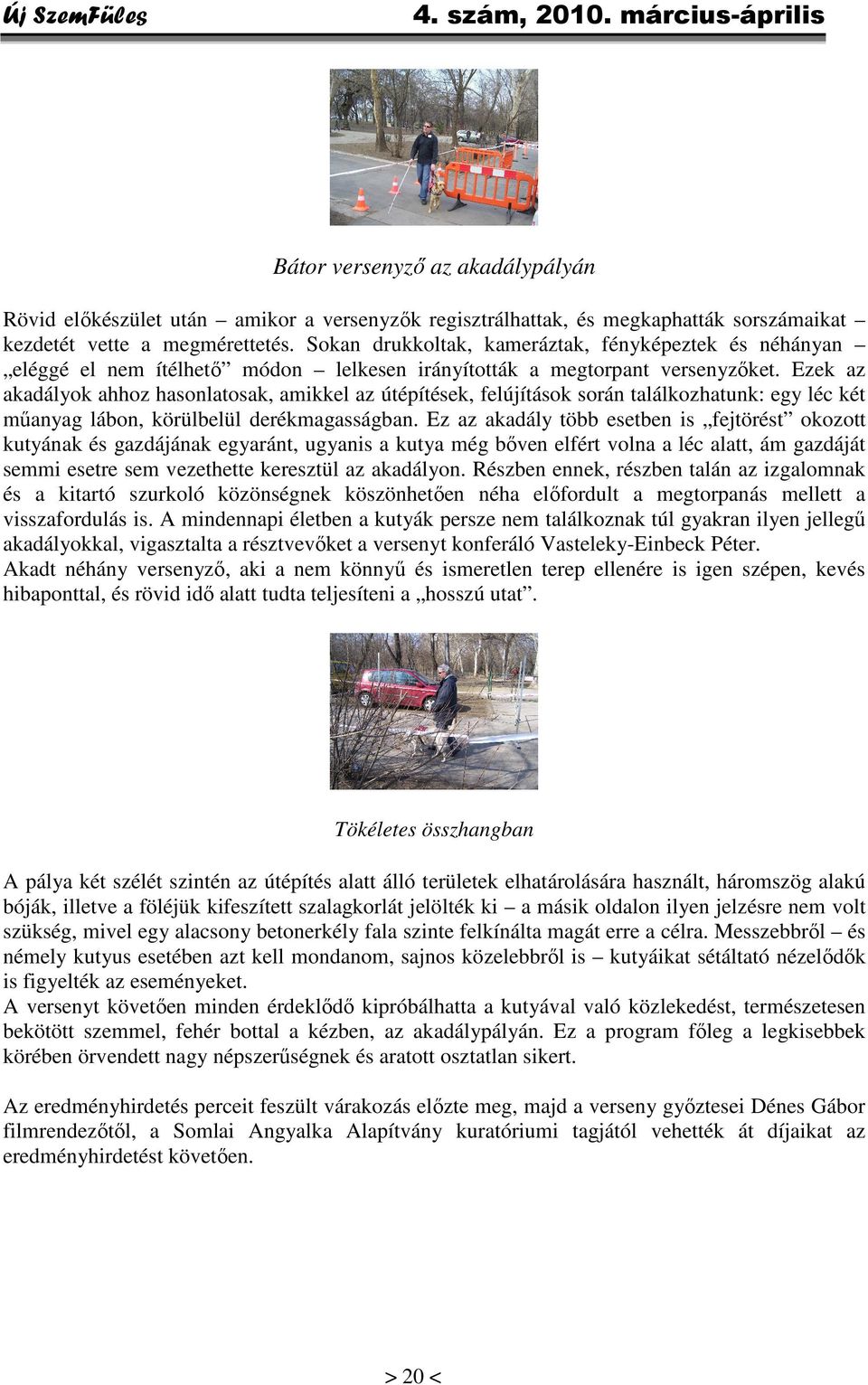 Ezek az akadályok ahhoz hasonlatosak, amikkel az útépítések, felújítások során találkozhatunk: egy léc két műanyag lábon, körülbelül derékmagasságban.