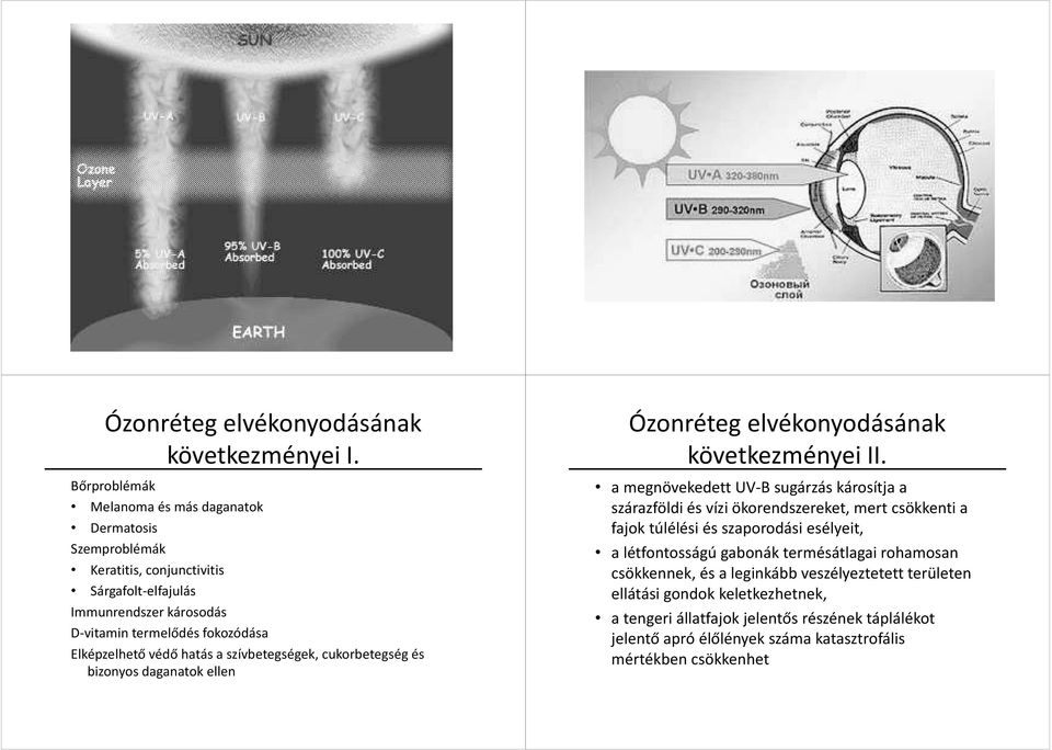 védő hatás a szívbetegségek, cukorbetegség és bizonyos daganatok ellen Ózonréteg elvékonyodásának következményei II.