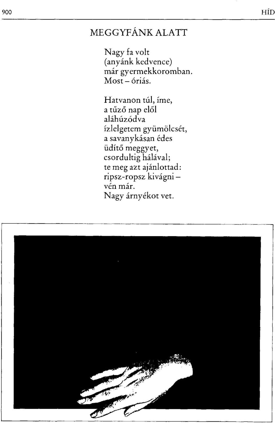 Hatvanon túl, íme, a tűző nap elől aláhúzódva ízlelgetem gyümölcsét, a