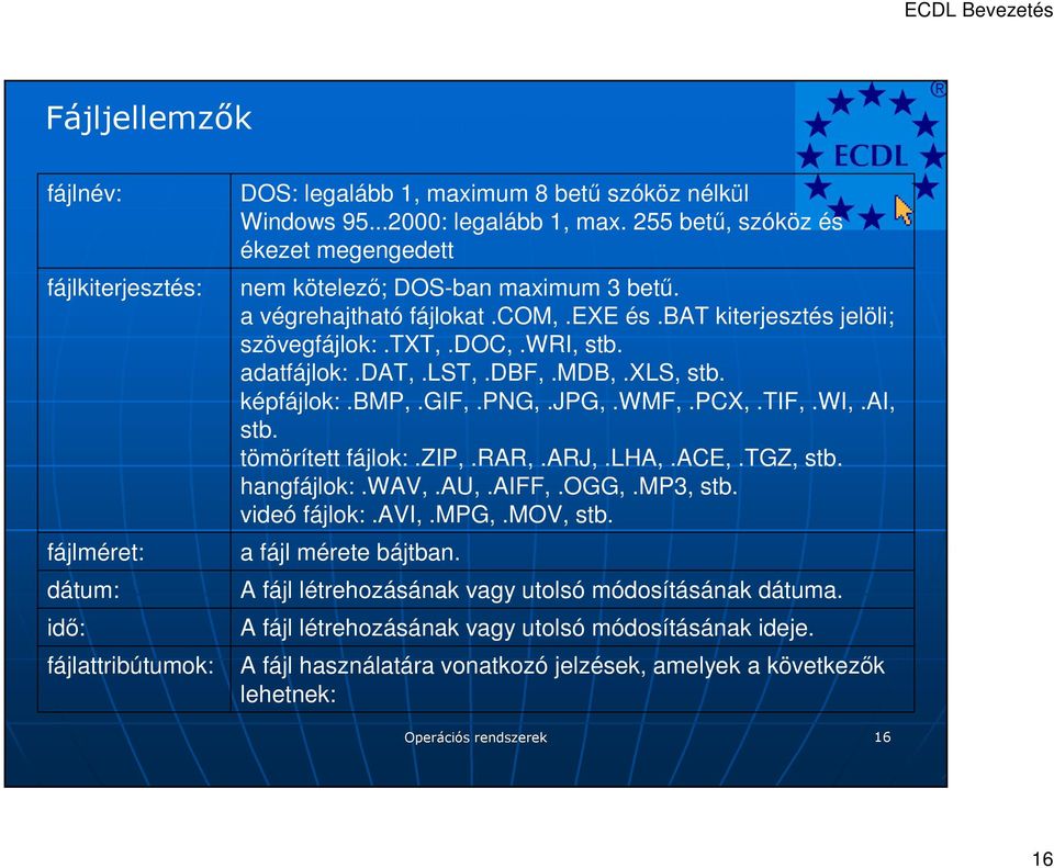 dbf,.mdb,.xls, stb. képfájlok:.bmp,.gif,.png,.jpg,.wmf,.pcx,.tif,.wi,.ai, stb. tömörített fájlok:.zip,.rar,.arj,.lha,.ace,.tgz, stb. hangfájlok:.wav,.au,.aiff,.ogg,.mp3, stb. videó fájlok:.avi,.mpg,.