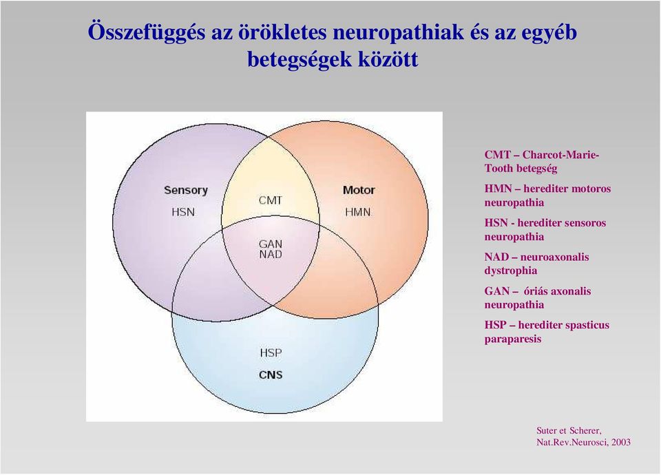 herediter sensoros neuropathia NAD neuroaxonalis dystrophia GAN óriás