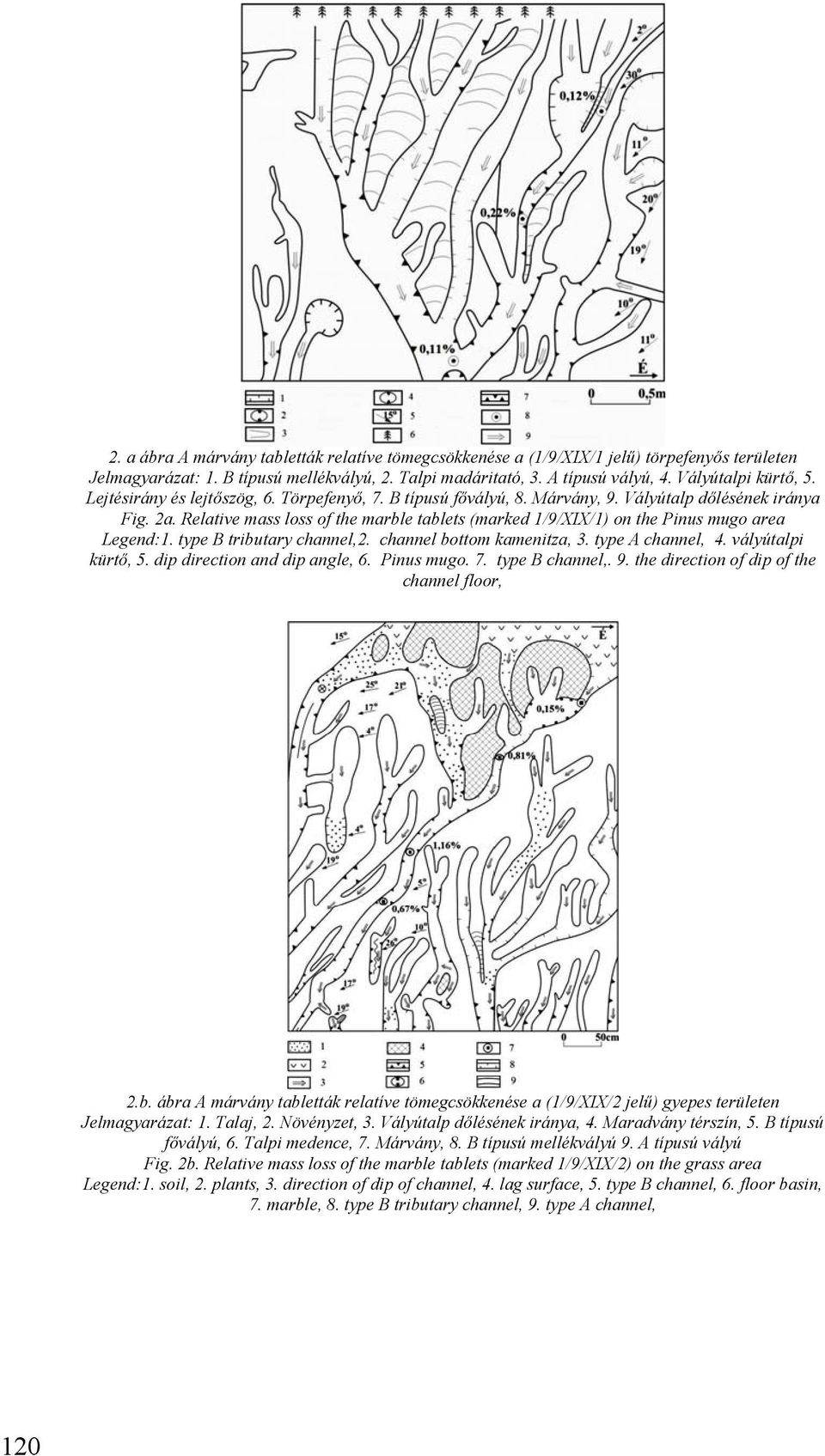 Relative mass loss of the marble tablets (marked 1/9/XIX/1) on the Pinus mugo area Legend:1. type B tributary channel,2. channel bottom kamenitza, 3. type A channel, 4. vályútalpi kürtő, 5.