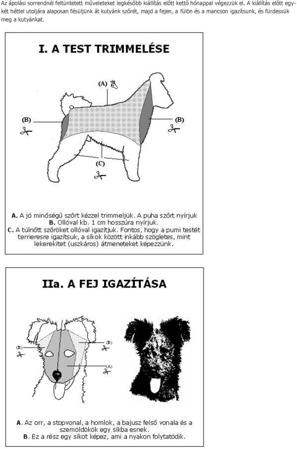 A kiállítás előtt egykét héttel utoljára alaposan fésüljünk át