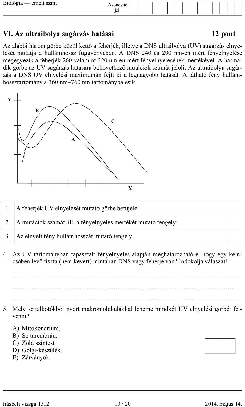 Az ultraibolya sugárzás a DNS UV elnyelési maximumán fejti ki a legnagyobb hatását. A látható fény hullámhossztartomány a 360 nm 760 nm tartományba esik. Y B C A X 1.