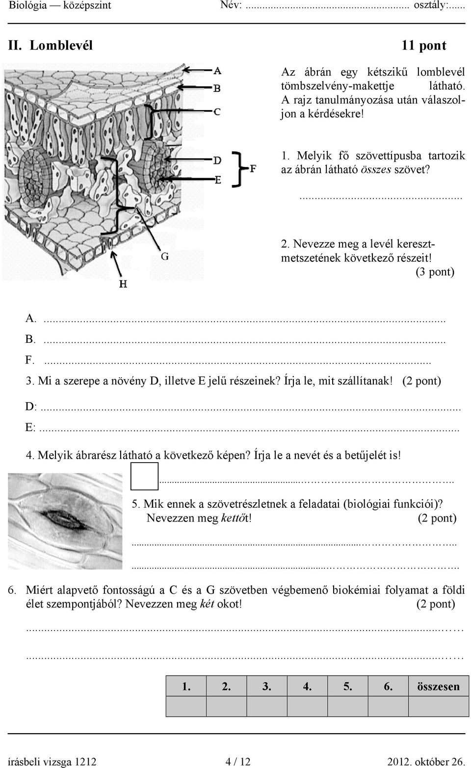 Melyik ábrarész látható a következő képen? Írja le a nevét és a betűjelét is!.... 5. Mik ennek a szövetrészletnek a feladatai (biológiai funkciói)? Nevezzen meg kettőt! (2 pont)......... 6.