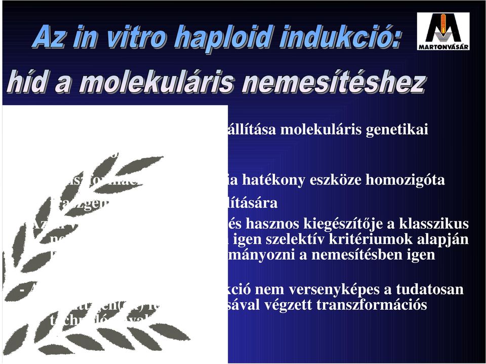 amennyiben igen szelektív kritériumok alapján kívánunk létrehozni/tanulmányozni a nemesítésben igen fontos populációkat - Az