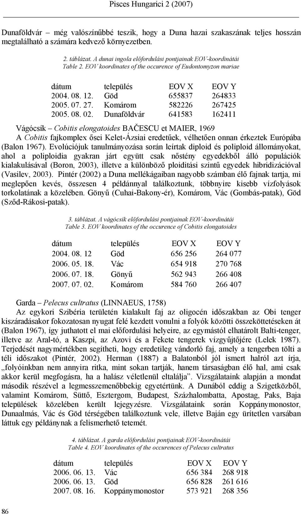 Dunaföldvár 641583 162411 Vágócsík Cobitis elongatoides BAČESCU et MAIER, 1969 A Cobitis fajkomplex ősei Kelet-Ázsiai eredetűek, vélhetően onnan érkeztek Európába (Balon 1967).