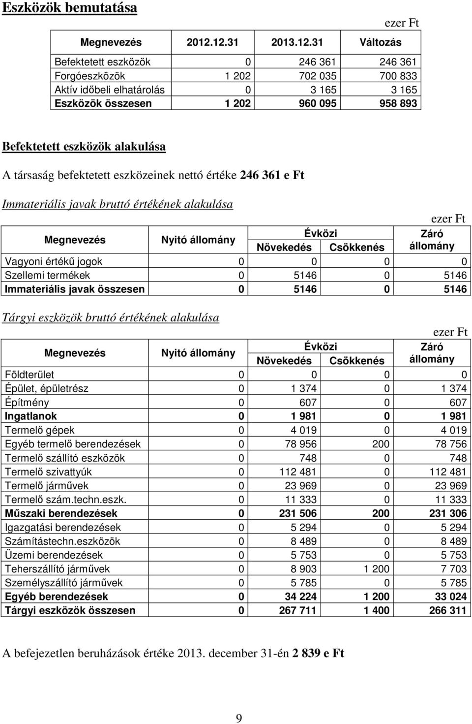 Befektetett eszközök alakulása A társaság befektetett eszközeinek nettó értéke 246 361 e Ft Immateriális javak bruttó értékének alakulása ezer Ft Megnevezés Nyitó állomány Évközi Záró Növekedés