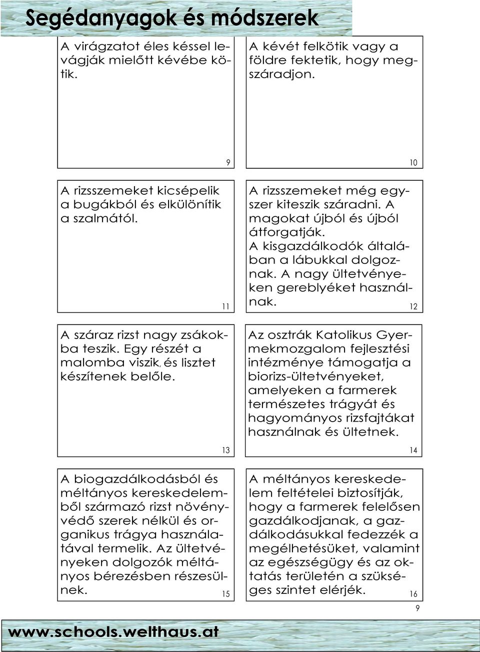 A kisgazdálkodók általában a lábukkal dolgoznak. A nagy ültetvényeken gereblyéket használnak.