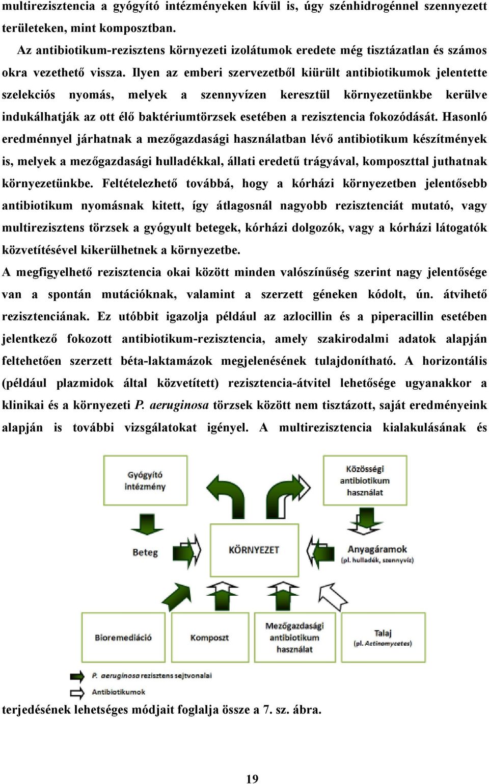 Ilyen az emberi szervezetbıl kiürült antibiotikumok jelentette szelekciós nyomás, melyek a szennyvízen keresztül környezetünkbe kerülve indukálhatják az ott élı baktériumtörzsek esetében a