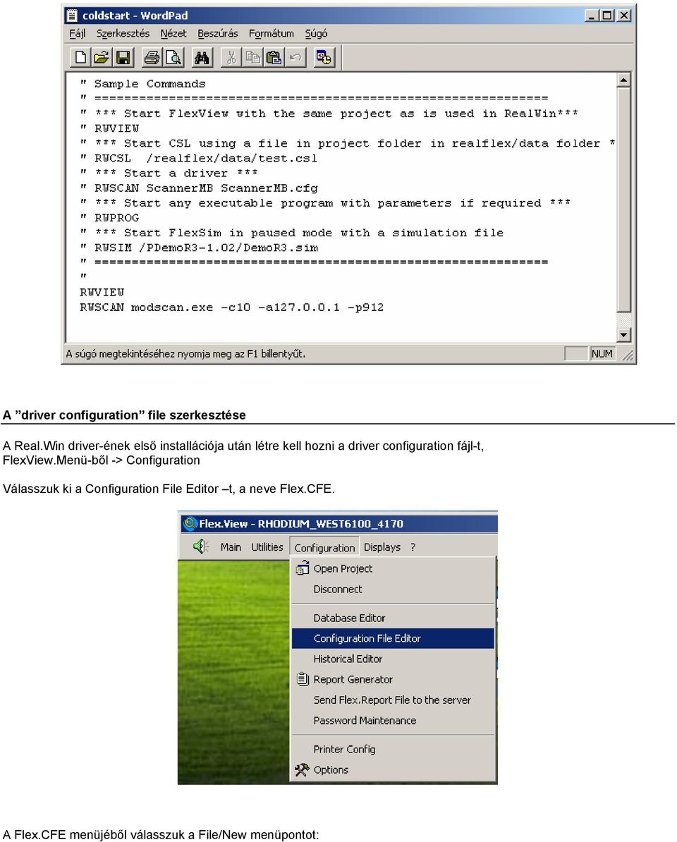 configuration fájl-t, FlexView.