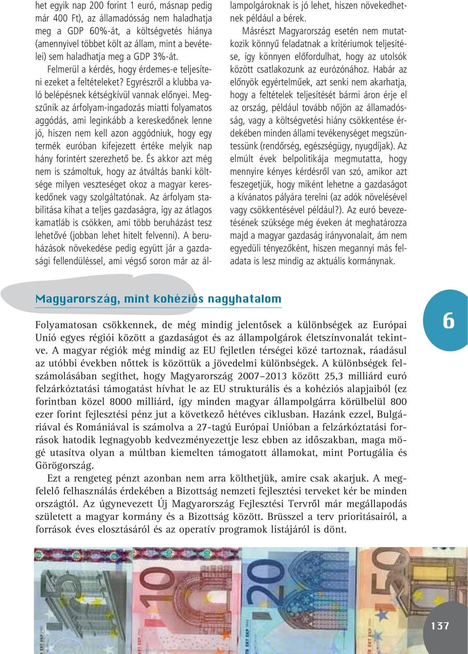 Megszûnik az árfolyam-ingadozás miatti folyamatos aggódás, ami leginkább a kereskedônek lenne jó, hiszen nem kell azon aggódniuk, hogy egy termék euróban kifejezett értéke melyik nap hány forintért