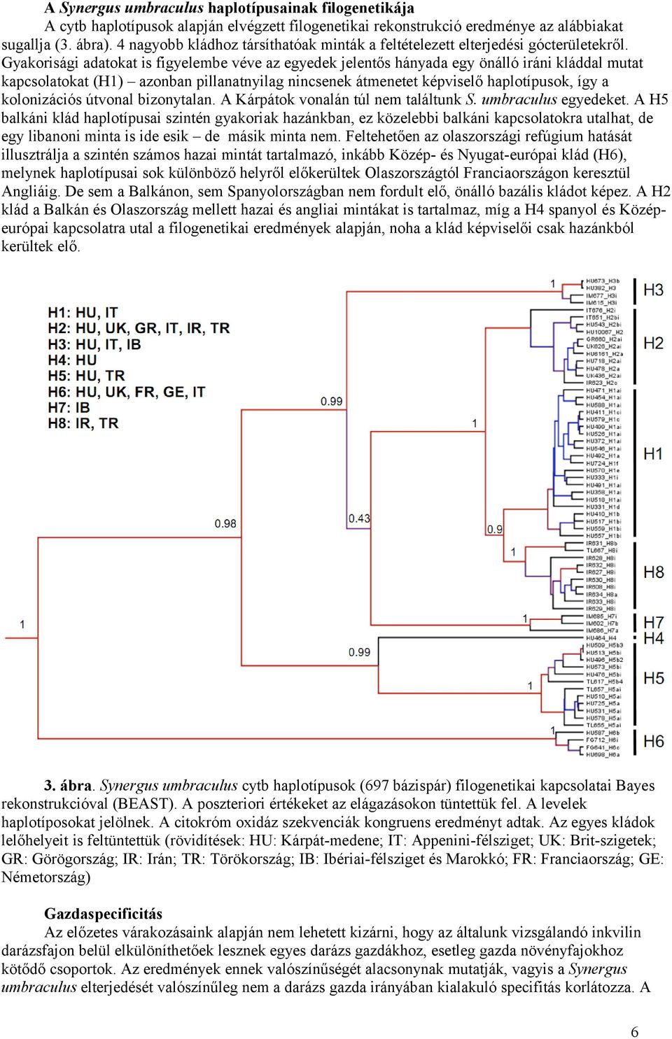 Gyakorisági adatokat is figyelembe véve az egyedek jelentős hányada egy önálló iráni kláddal mutat kapcsolatokat (H1) azonban pillanatnyilag nincsenek átmenetet képviselő haplotípusok, így a