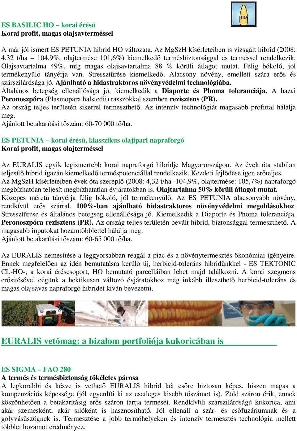 Olajsavtartalma 49%, míg magas olajsavtartalma 88 % körüli átlagot mutat. Félig bókoló, jól termékenyülő tányérja van. Stressztűrése kiemelkedő.