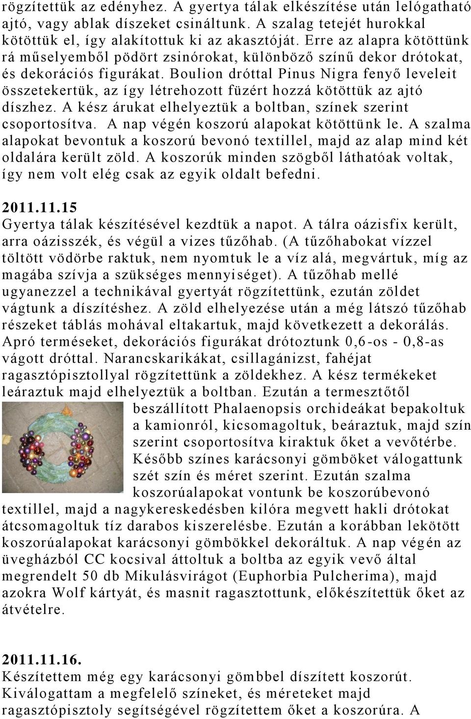 Boulion dróttal Pinus Nigra fenyő leveleit összetekertük, az így létrehozott füzért hozzá kötöttük az ajtó díszhez. A kész árukat elhelyeztük a boltban, színek szerint csoportosítva.