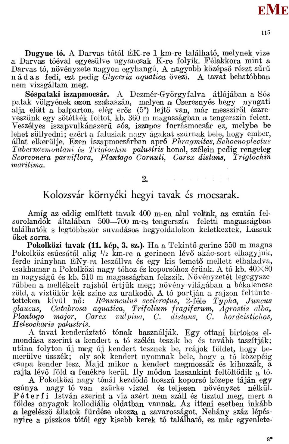 A Dezmér-Györgyfalva átlójában a Sós patak völgyének azon szakaszán, melyen ai Cseresnyés hegy nyugati alja előlit a balparton, elég erős (5 ) lejtő van, már messziről észreveszünk egy sötétkék