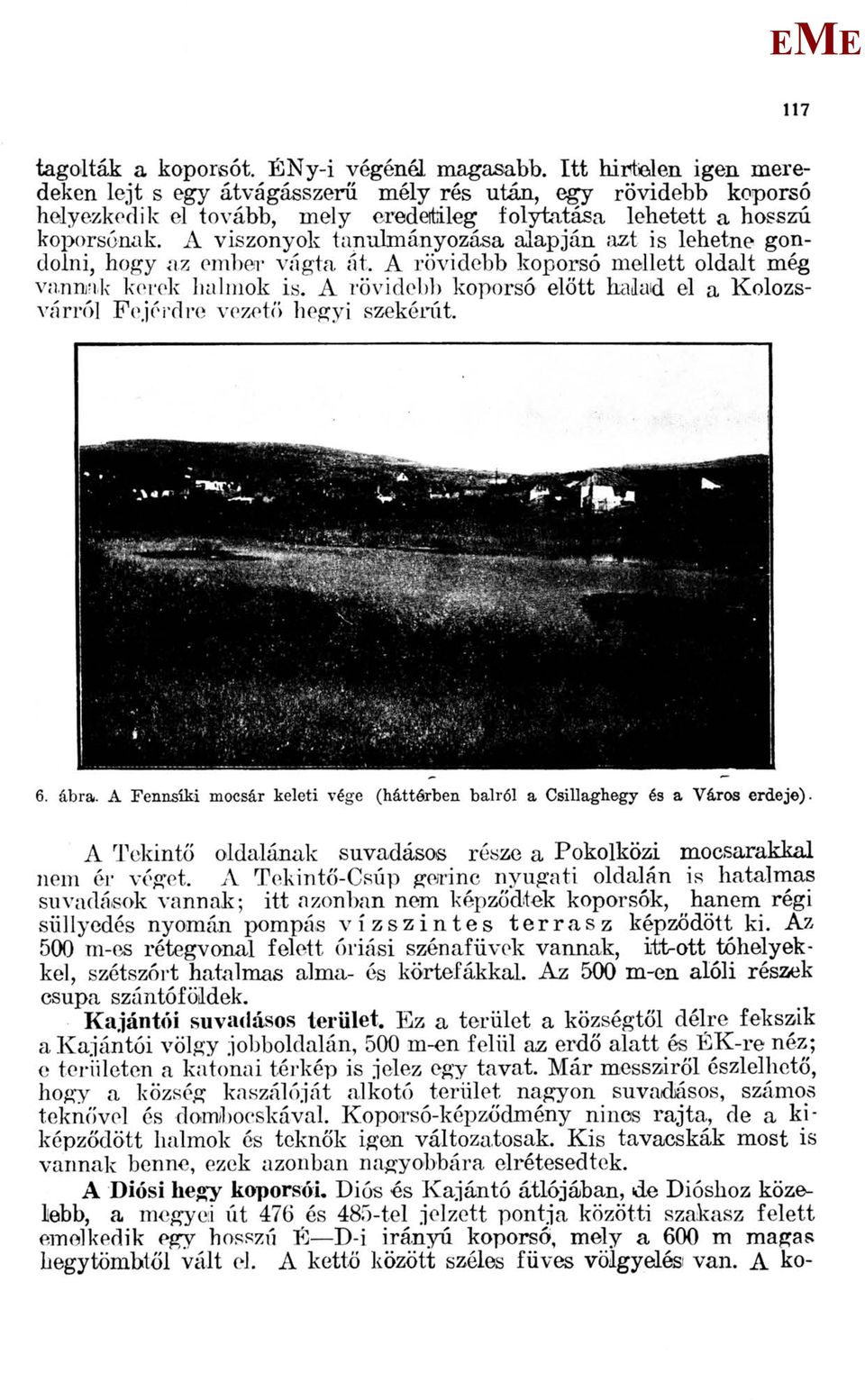 A viszonyok tanulmányozása alapján azt is lehetne gondolni, hogy az einher vágta át, A rövidebb koporsó mellett oldalt még vannak kerek halmok is.