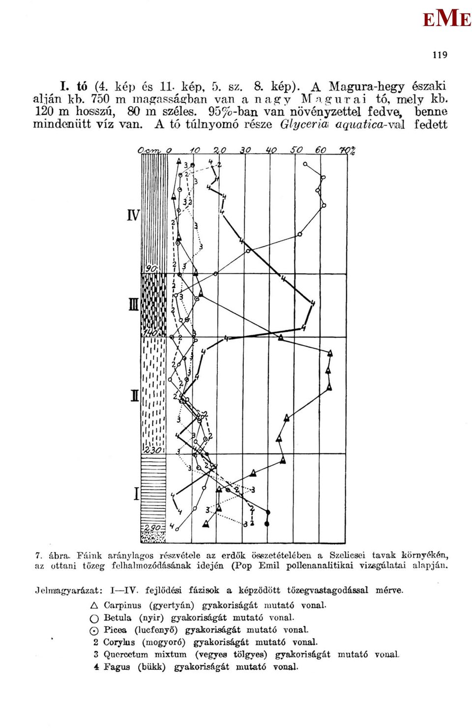 . Fáink aránylagos részvétele az erdők összetételében a Szeiicsei tavak környékén, az ottani tőzeg felhalmozódásának idején (Pop mil pollenanalitikai vizsgálatai alapján. Jelmagyarázat: I IV.
