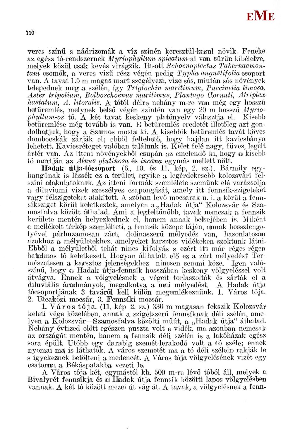 5 m magas mart szegélyezi, vizei sós, miután sós növények telepednek meg a szélén, így Triglochin mariumum, Puccinelia limosa.