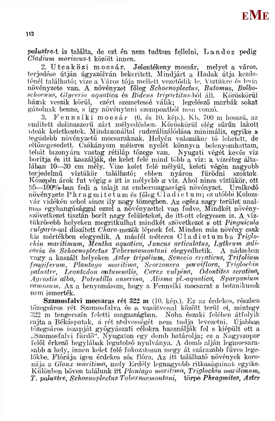 Víztükre és buia növényzete van, A növényzet főleg Schoenoplectus, Bíitomus, Bolboschoenus, Glycerin aquatica és Bidens tripcirtitus-hói áll.