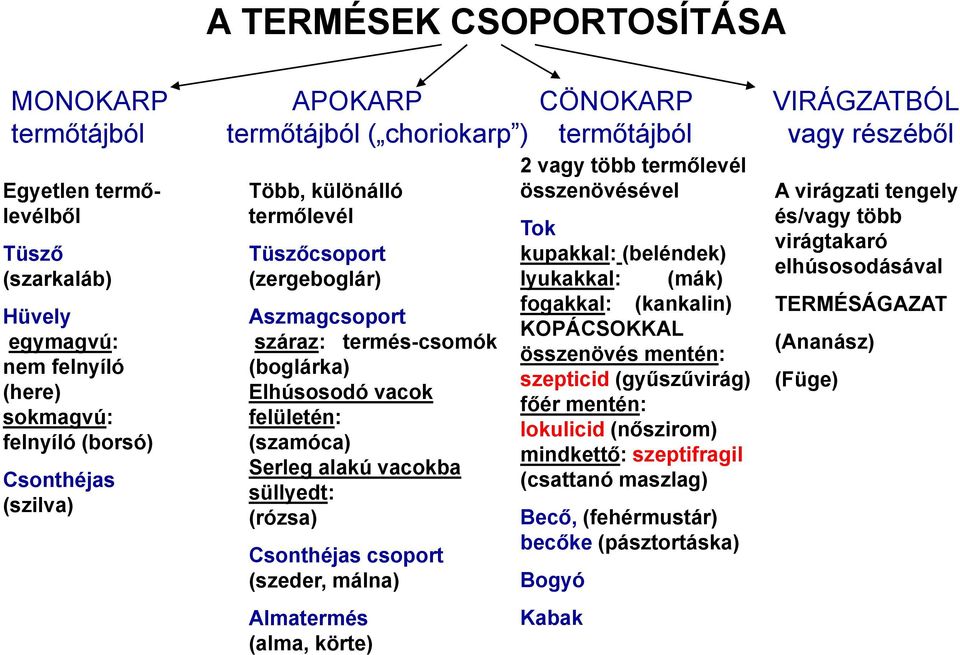 (szamóca) Serleg alakú vacokba süllyedt: (rózsa) Csonthéjas csoport (szeder, málna) Almatermés (alma, körte) 2 vagy több termőlevél összenövésével Tok kupakkal: (beléndek) lyukakkal: (mák) fogakkal: