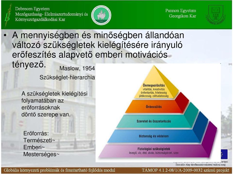 Maslow, 1954 Szükséglet-hierarchia A szükségletek kielégítési