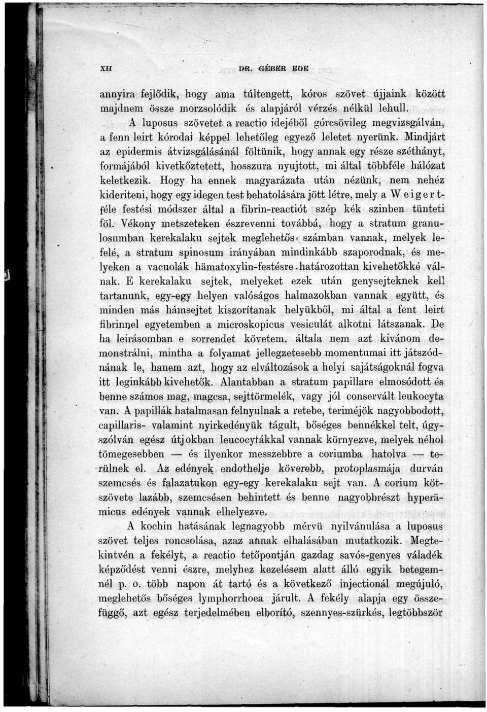 Mindjárt az epidermis átvizsgálásánál föltűnik, hogy annak egy része széthányt, formájából kivetkőztetett, hosszura nyújtott, mi által többféle hálózat keletkezik.